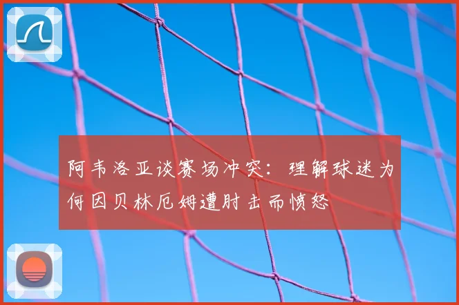 阿韦洛亚谈赛场冲突：理解球迷为何因贝林厄姆遭肘击而愤怒